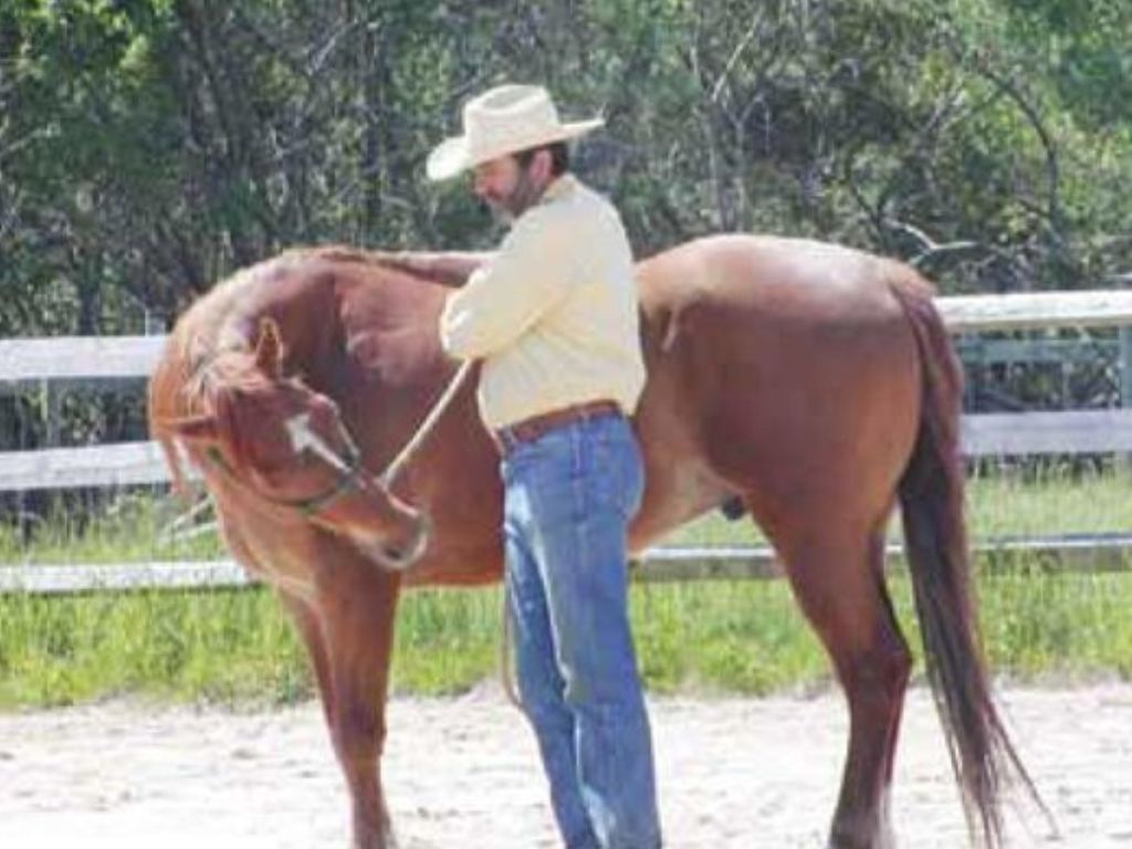 Hat Ihr Pferd eine Notbremse?