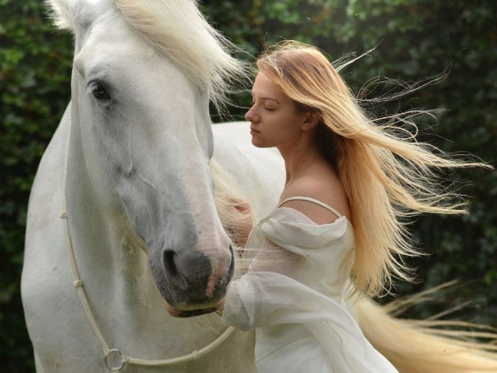 Was kostet der Traum vom eigenen Pferd?